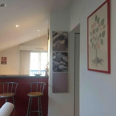 Cote Basque T3 250 Metres De La 3*** *