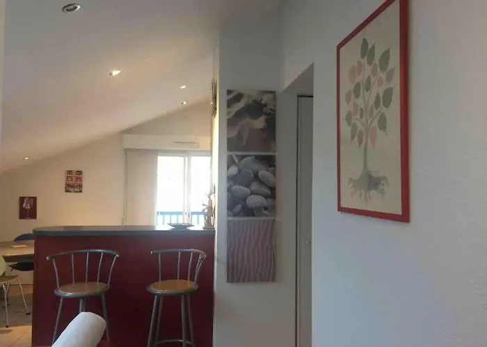 Cote Basque T3 250 Metres De La 3*** *